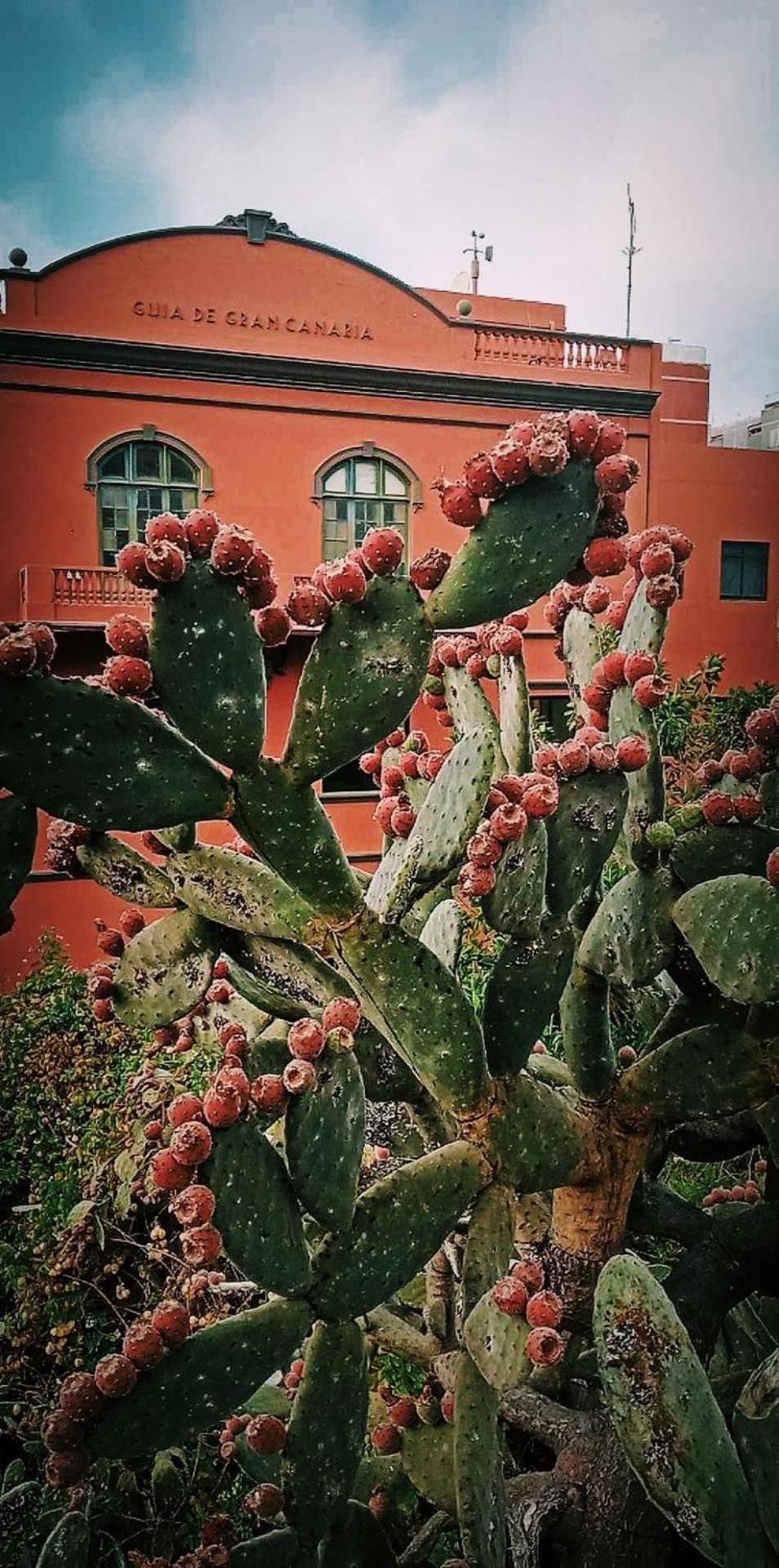 Casa vacanze Casa De Guia *